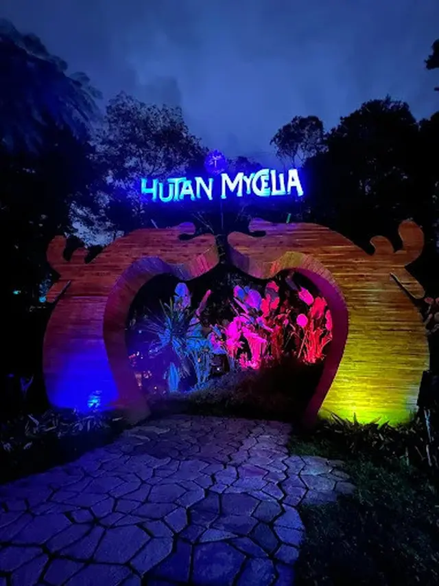 Hutan Mycelia