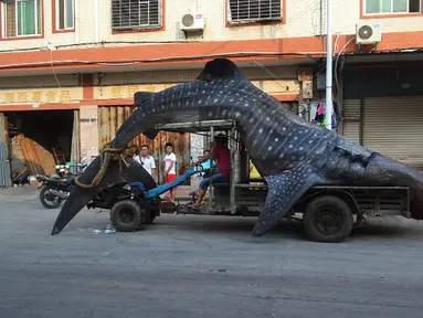 Ini bukan mobil karnaval. Ini ikan hiu asli di atas mobil kontraktor, Quanzhou, Tiongkok (1/8/2014) (AFP Photo/STR)