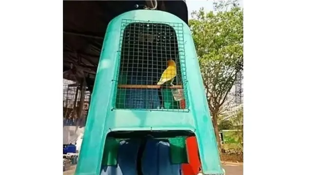 6 Potret Kandang Hewan Peliharaan dari Barang Bekas, Hasilnya Tak Kalah Bagus