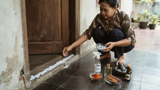 Cara Mencegah Ular Masuk Rumah