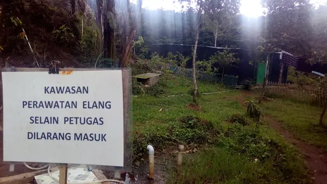 Beberapa kandang perawatan elang di Pusat Konservasi Elang Kamojang Garut, Jawa Barat