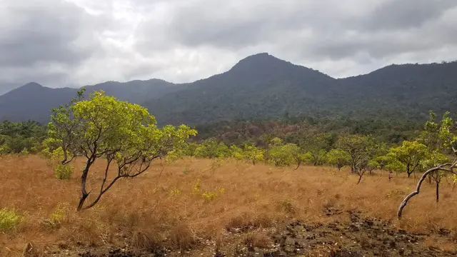 Guyana, Amerika Selatan