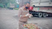 Kecombrang Asal Sumut Tembus Pasar Malaysia