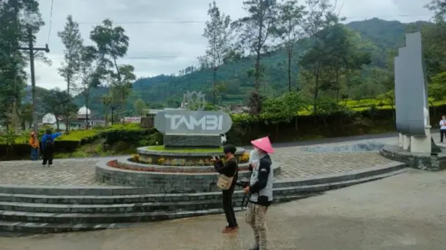 Kebun Teh Tambi