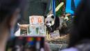 Le Le merayakan ulang tahunnya yang pertama dalam pameran hutan panda raksasa River Wonders di Singapura, Jumat (12/8/2022). Le Le genap berusia satu tahun pada 14 Agustus nanti. (Roslan RAHMAN/AFP)
