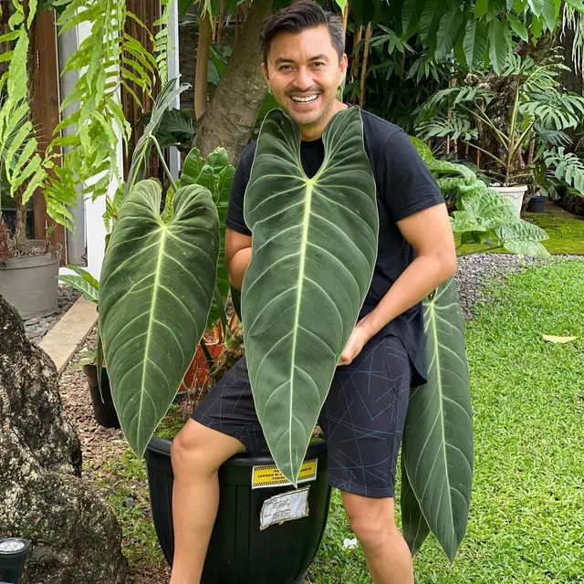 6 Potret Kocak Anjasmara saat Pose Bareng Tanaman Ini Bikin Geleng Kepala