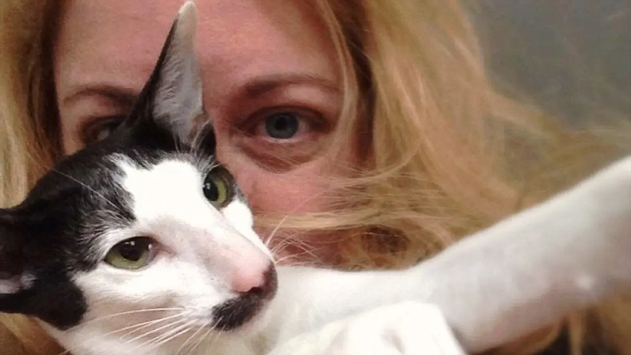 Stache, kucing berkumis unik mirip Charlie Caplin