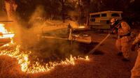 Seorang petugas pemadam menyemprotkan air saat kebakaran di dekat Mountain Ranch , Kalifornia, Amerika Serikat, Jumat (11/9/2015). Gubernur Kalifornia, Jerry Brown mengumumkan keadaan darurat untuk wilayah Amador dan Calaveras. (REUTERS/Noah Berger)