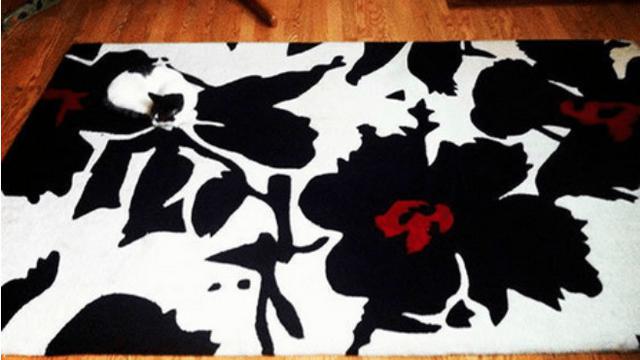 Temukan kucing yang bersembunyi di dalam foto ini.