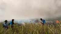 Upaya pemadaman api di lahan Taman Nasional Way Kambas. Foto (Humas Polres Lampung Timur)