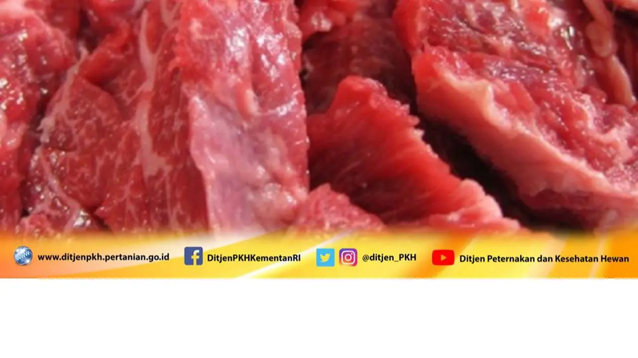 Kementan Pastikan Stok Daging Sapi dan Kerbau Aman Jelang Ramadan hingga Idul Fitri