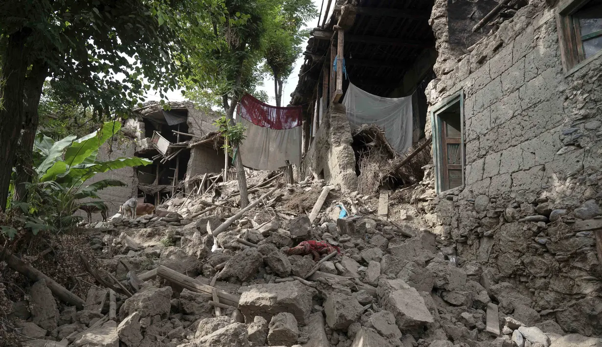 Lebih dari 8.000 rumah dilaporkan hancur. (AP Photo/Nava Jamshidi)