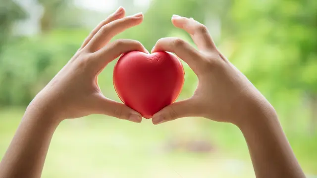 Love Care