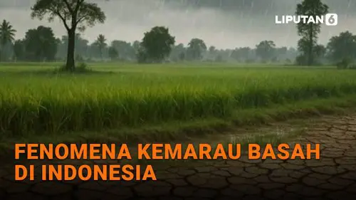 Fenomena Kemarau Basah di Indonesia