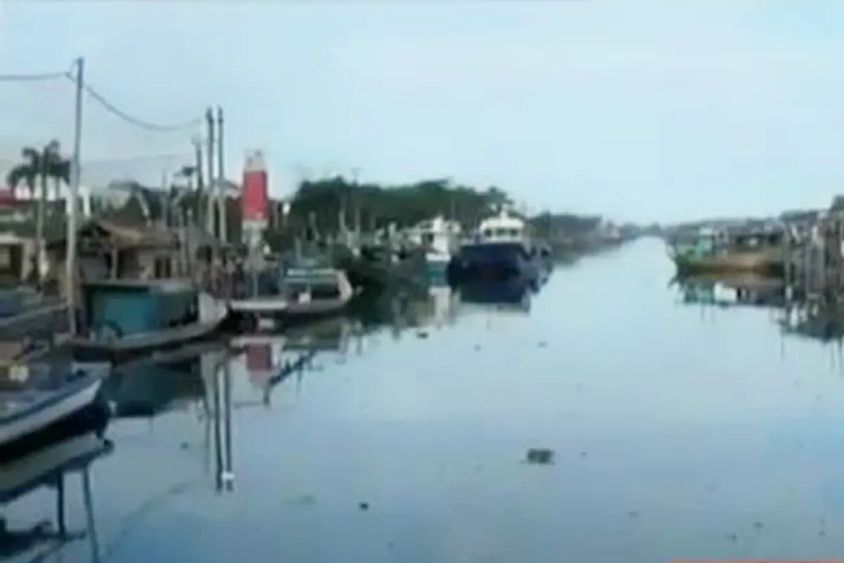 VIDEO: Reklamasi Teluk Jakarta Ganggu Budidaya Kerang Hijau