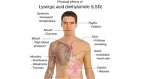 Efek dan Bentuk LSD yang Dikonsumsi Christopher Paling Populer