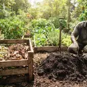Sampah Sisa Makanan Hasilkan Emisi, KLH Ungkap Cara Mengolahnya