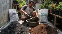 Media Semai Terbaik untuk Bibit Sayuran yang Bisa Dibuat dari Bahan Rumahan