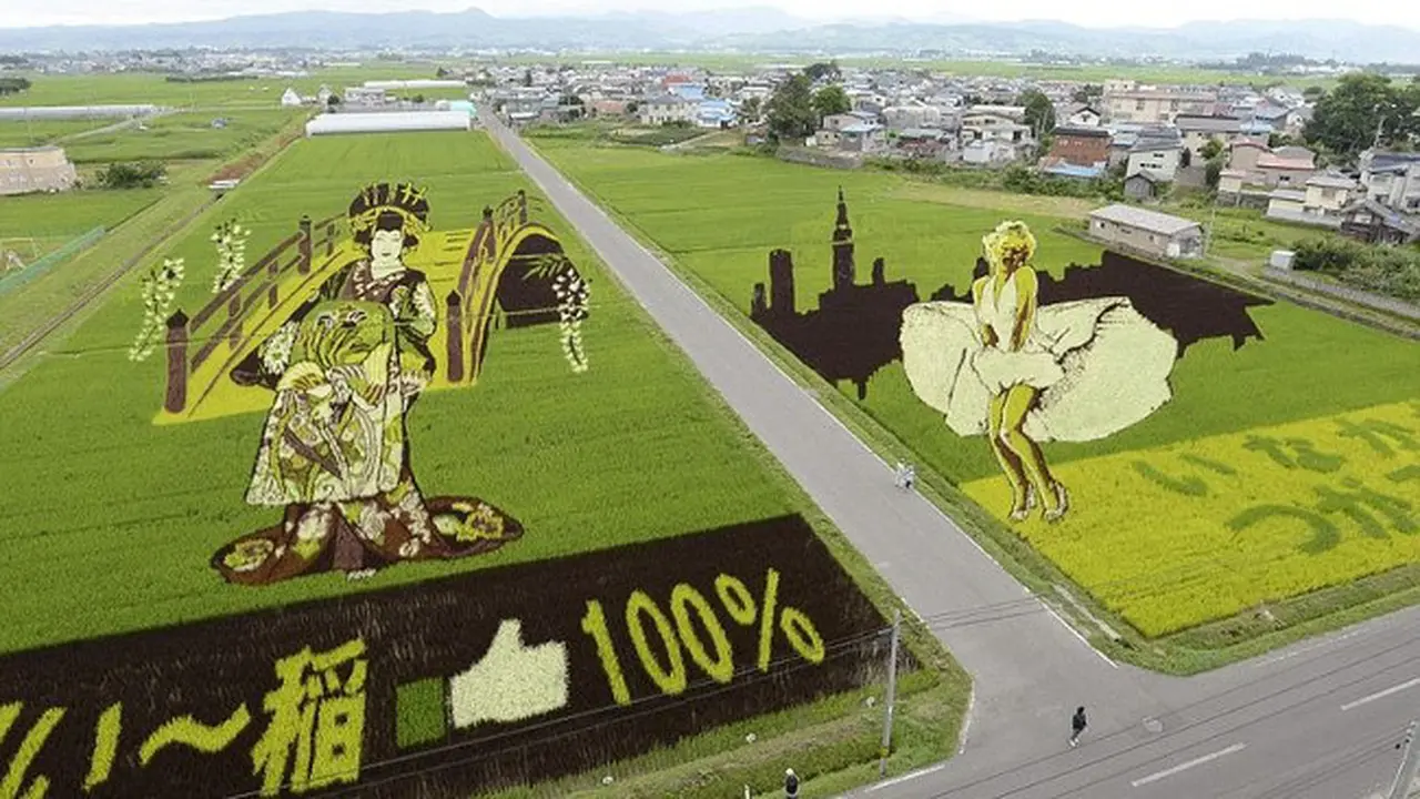 Karya Seni Sawah Jepang