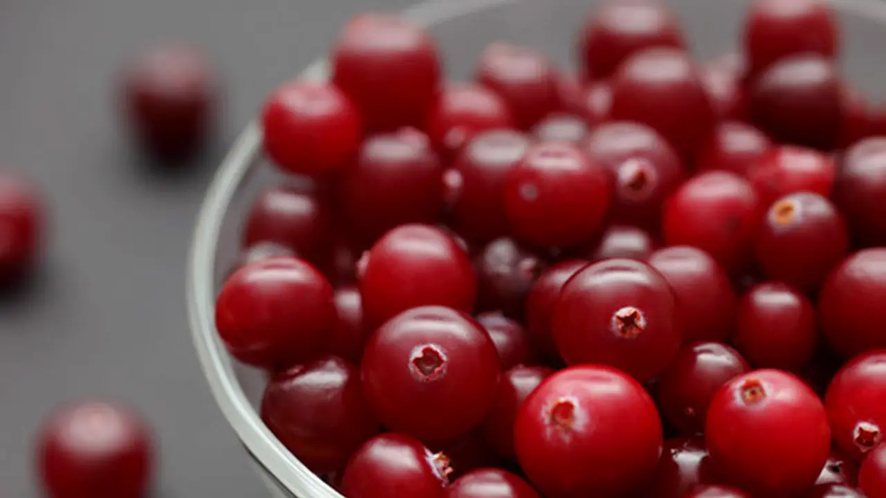 cranberry-131230c.jpg