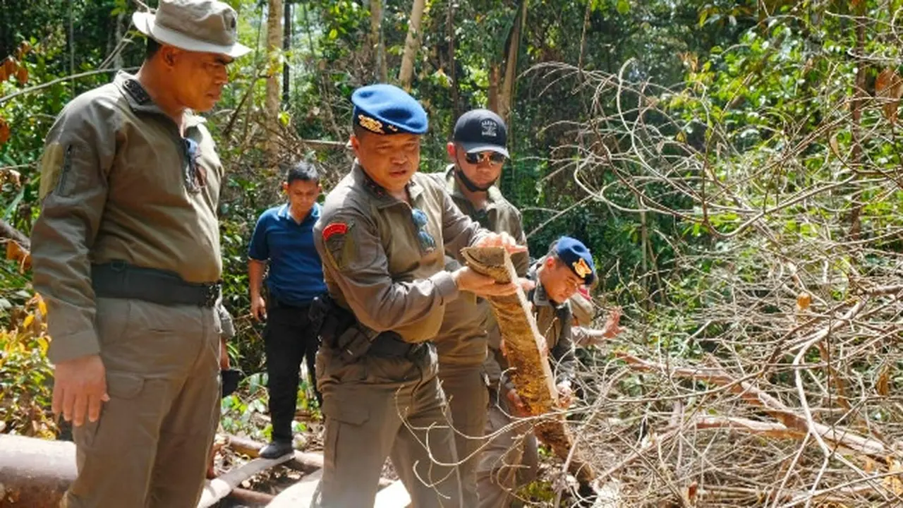 Kapolda Riau Irjen Agung Setya memegang hasil tebangan kayu di Cagar Biosfer Giam Siak Kecil.