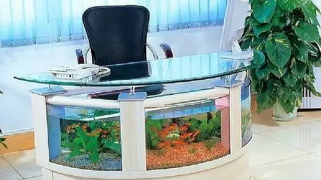7 Desain Akuarium Anti Mainstream Ini Bikin Geleng Kepala
