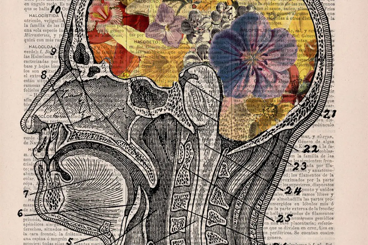 [Bintang] 10 Ilustrasi Anatomi Tubuh Motif Bunga yang Digores di Buku Tua