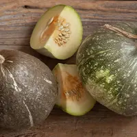 Ilustrasi&nbsp;Blewah dan Melon