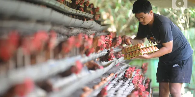 Harga Pangan Hari Ini: Cabai Rawit Merah Rp 61.450 per Kg, Telur Ayam Rp 29.050