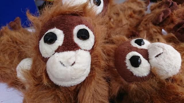 ORungutan Run 2019 Tanpa Kabut Asap di Ibu Kota Orangutan Dunia