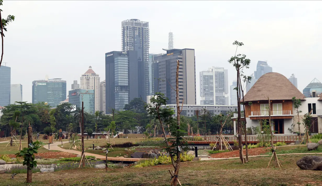 Suasana dan kondisi area Hutan Kota di Kawasan Kompleks GBK, Jakarta, Rabu (19/9). Pembangunan hutan kota untuk menunjang area Gelora Bung Karno menjadi kawasan olahraga terpadu. (Liputan6.com/Helmi Fithriansyah)
