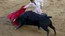 Matador asal Kolombia, Luis Bolivar beraksi di arena adu banteng Canaveralejo di Cali, Kolombia, Senin (29/12/2014). (AFP Photo/Luis Robayo)