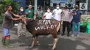 Corporate Secretary Division Head SCM Grup Gilang Iskandar (kemeja hijau) menyerahkan hewan kurban secara simbolis di studio 5 Indosiar, Daan Mogot, Jakarta, Rabu (6/7/2022). PT SCM menyerahkan sejumlah hewan kurban kepada masyarakat jelang Hari Raya Idul Adha ada 65 hewan kurban yang diserahkan SCM tahun ini. (Liputan6.com/Angga Yuniar)