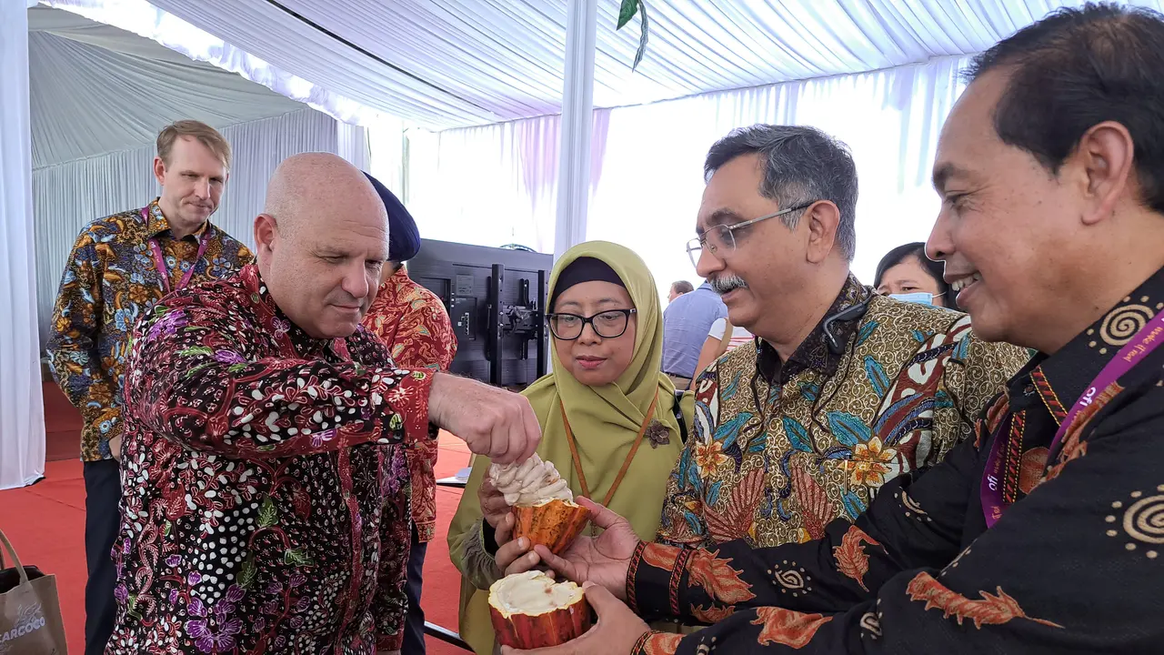 6.500 Petani Kopi dan Cokelat di Indonesia, Dapat Pelatihan dan Pasar Ekspor