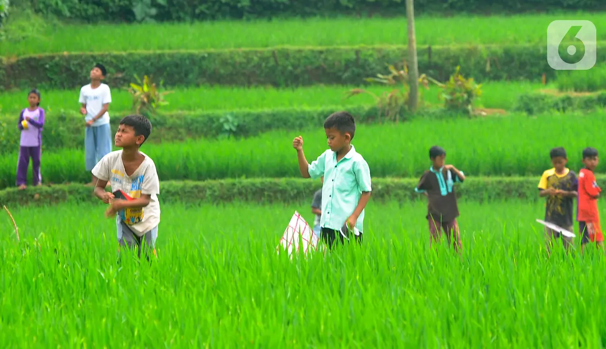 Anak-anak bermain layang-layang pada areal sawah di kawasan Sukamakmur, Bogor, Jumat (15/07/2022). Mereka menghabiskan waktu bermain saat mengisi waktu libur panjang  sekolah.
(merdeka.com/Arie Basuki)