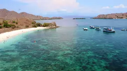 Pantai berpasir merah jambu hanya ada di beberapa negara di dunia, salah satunya Indonesia yang ada di kawasan Taman Nasional Pulau Komodo, Nusa Tenggara Timur. (Liputan6/ Ahmad Ibo).