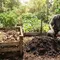 Sampah Sisa Makanan Hasilkan Emisi, KLH Ungkap Cara Mengolahnya