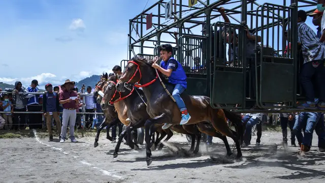 Pacuan Kuda Tradisional Gayo
