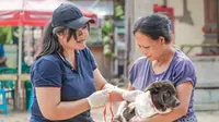 Vaksin PMK dan rabies untuk Bali telah siap, dan sebagian telah didistribusikan dan divaksinkan ke hewan-hewan rentan/Istimewa.