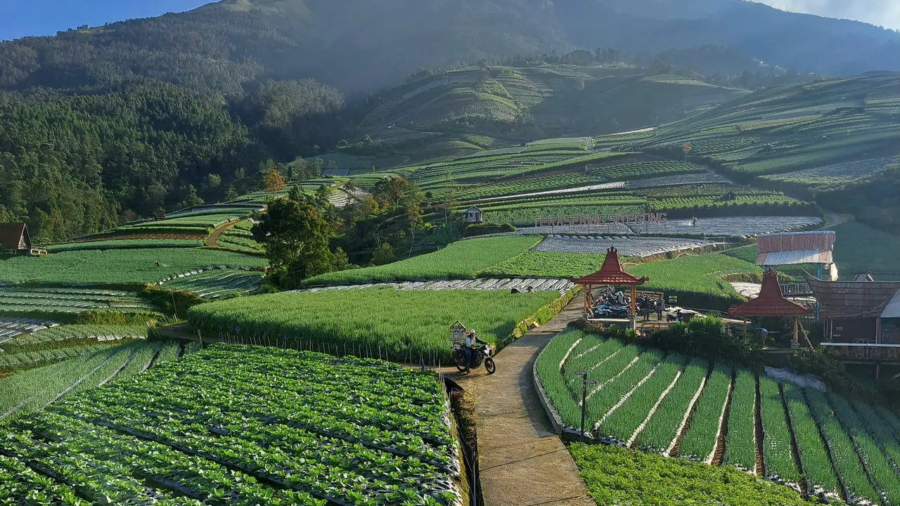 Berkunjung ke Terasering Sitegong Sukomakmur, Surga Tersembunyi di Kaki Gunung Sumbing Magelang