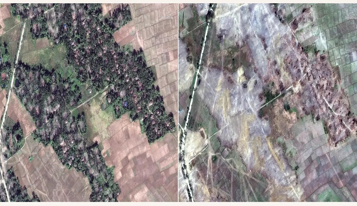 Citra satelit DigitalGlobe pada 20 Desember 2017 (kiri) dan 13 Februari 2018 (kanan) di Desa Myin Hlut, 25 km tenggara Maungdaw, Rakhine, Myanmar. Pemerintah Myanmar mengklaim mereka berusaha membangun kembali wilayah yang hancur. (DigitalGlobe via AP)