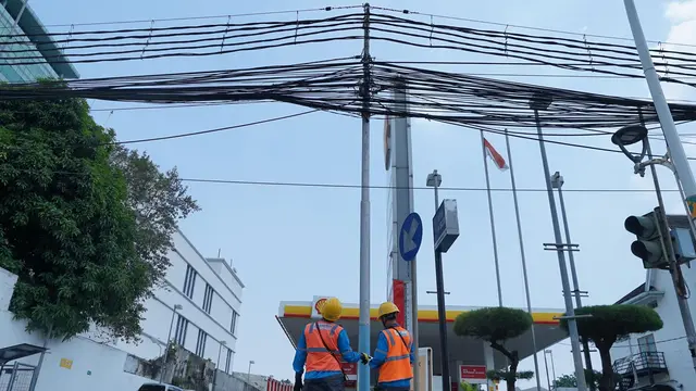 PLN