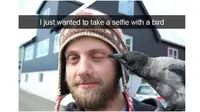 Momen Apes saat Selfie dengan Binatang (Sumber: Brightside)