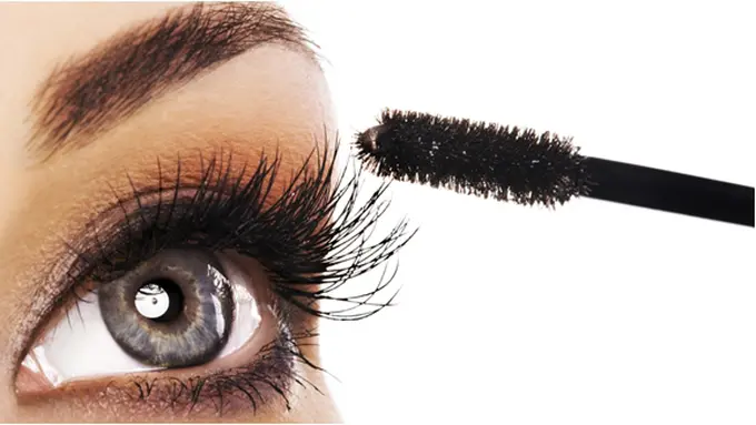 Courtesy ShutterStock.com