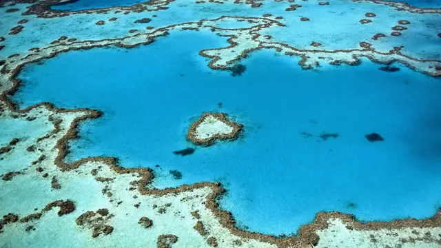 The Great Barrier Reef