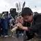 Seorang bocah muslim Syiah menyabetkan diri menggunakan pisau rantai saat mengikuti ritual Asyura di Abul Fazl Shrine di Kabul, Afghanistan (24/10). Tradisi Asyura yang jatuh pada hari ke-10 bulan Muharram ini digelar untuk memperingati wafatnya Imam Hussein, cucu Nabi Muhammad, yang tewas dalam pertempuran abad ketujuh Karbala. &copy;2015 AFP PHOTO/Wakil Kohsar