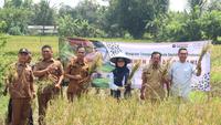 Dorong Ketahanan Pangan, Program Pengembangan Beras Sehat Dilakukan di Karawang