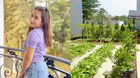 7 Potret Kebun Organik Milik Prilly Latuconsina, Ada Sayur Hingga Buah-buahan