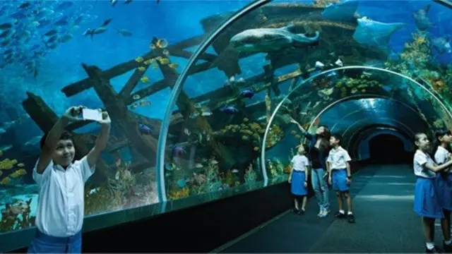 Keliling Akuarium Terbesar di Dunia? Ada di Resorts World Sentosa