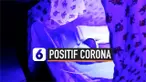 THUMBNAIL CORONA
